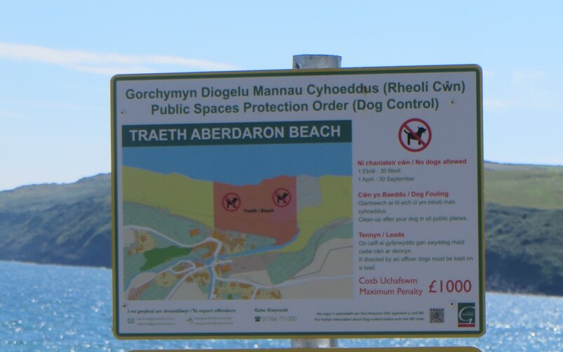 Nicht überall sind Hunde am Strand erlaubt – vorab informieren! | © AnDiHa