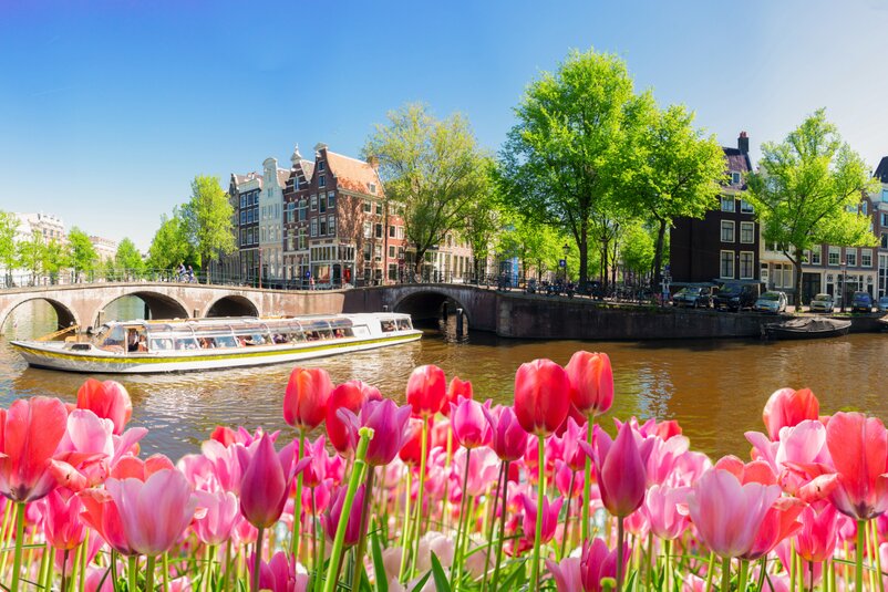 Bunte Tulpen im Vordergrund, dahinter eine sonnige Amsterdamer Gracht mit Ausflugsboot, historischen Häusern und grünen Bäumen. | © neirfy/Adobe Stock