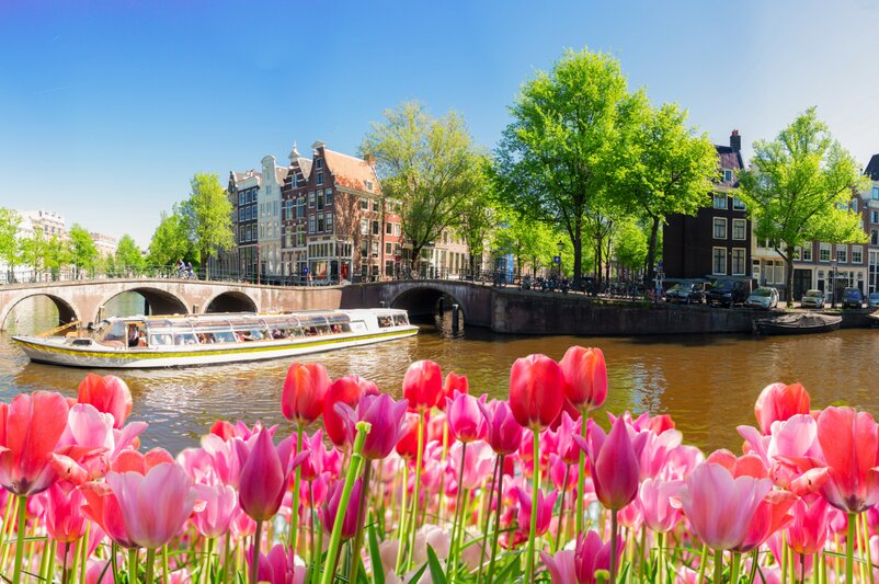 Colorful tulips in the foreground, behind them a sunny Amsterdam canal with a tour boat, historic houses, and green trees. | © neirfy/Adobe Stock