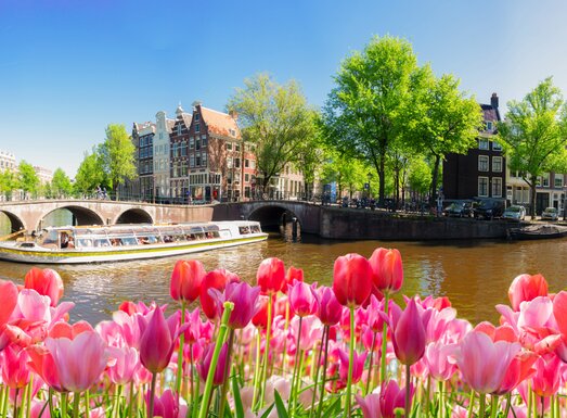 © neirfy/Adobe Stock © neirfy/Adobe Stock