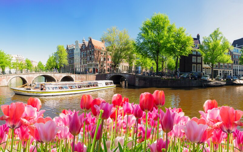 Bunte Tulpen im Vordergrund, dahinter eine sonnige Amsterdamer Gracht mit Ausflugsboot, historischen Häusern und grünen Bäumen. | © neirfy/Adobe Stock