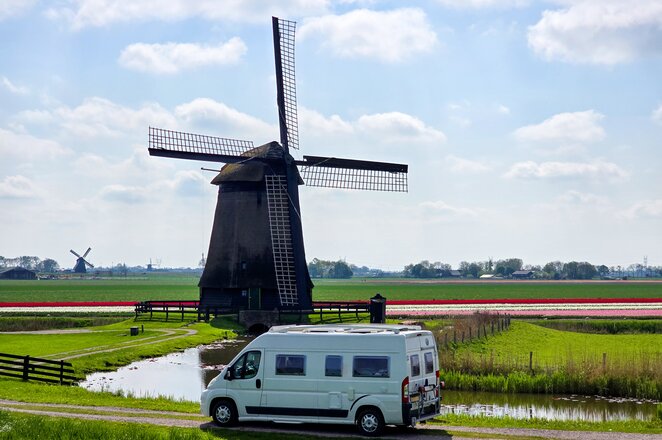 Ein weißer Campingbus steht vor einer Windmühle in einem Tulpenfeld.