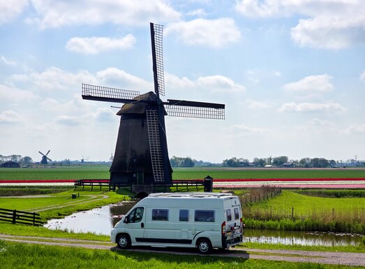 Ein weißer Campingbus steht vor einer Windmühle in einem Tulpenfeld.
